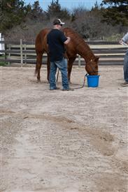 LR-WRF 0402026 Retreat-3280